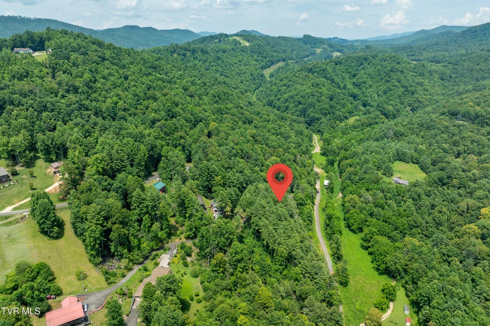 Photo #17: Lot 1 Lake Ridge Road
