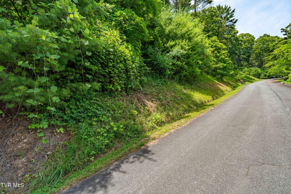 Photo #19: Lot 1 Lake Ridge Road