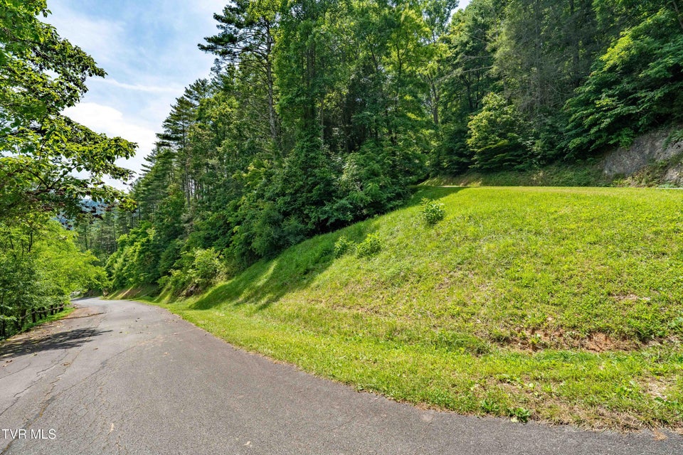 Photo #20: Lot 1 Lake Ridge Road