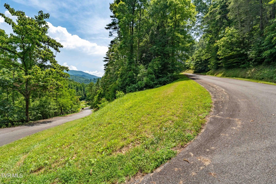 Photo #21: Lot 1 Lake Ridge Road