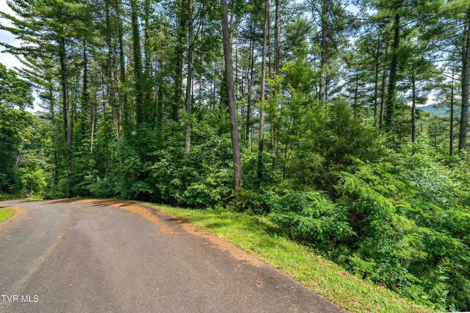 Photo #22: Lot 1 Lake Ridge Road
