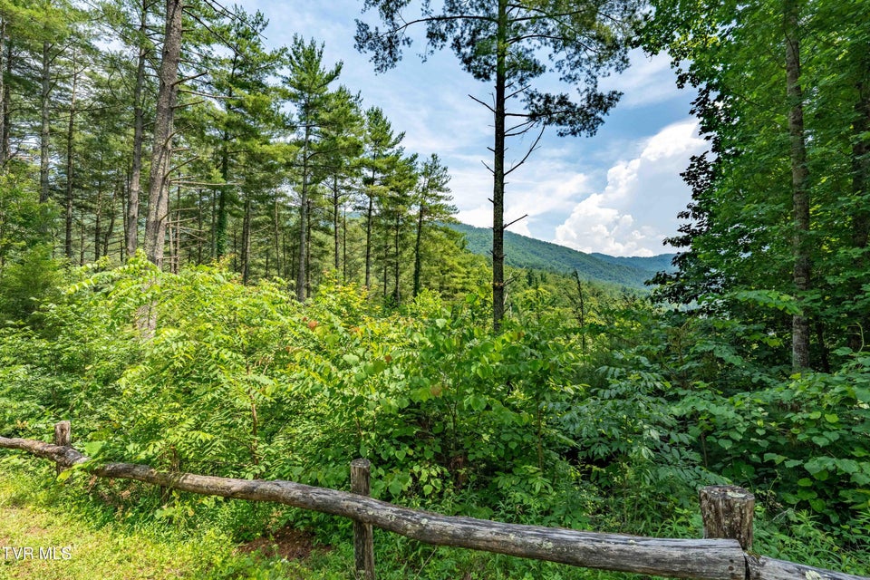 Photo #23: Lot 1 Lake Ridge Road