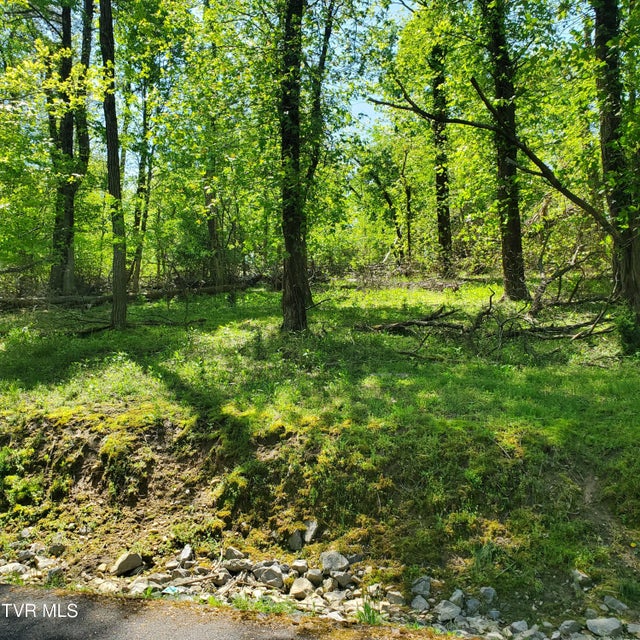 Photo #3: 1603 Sequoyah Drive