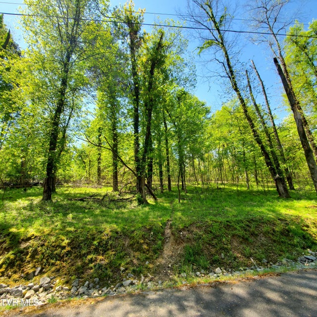 Photo #4: 1603 Sequoyah Drive