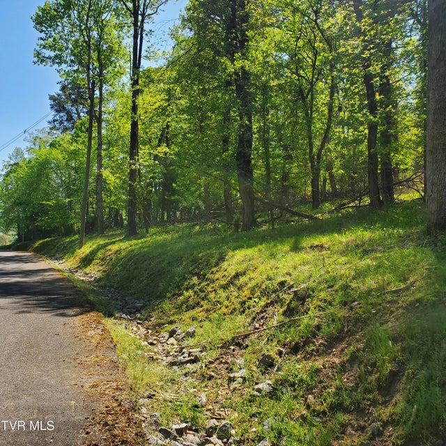 Photo #5: 1603 Sequoyah Drive