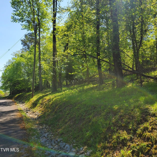Photo #6: 1603 Sequoyah Drive