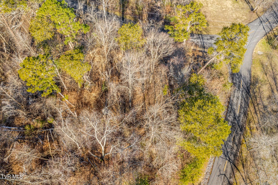 Photo #8: 1603 Sequoyah Drive