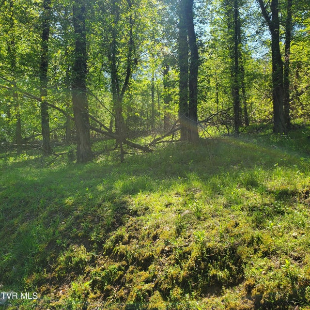 Photo #11: 1603 Sequoyah Drive