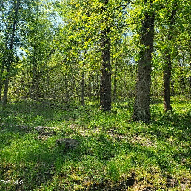Photo #12: 1603 Sequoyah Drive