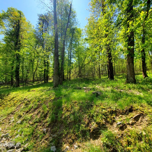 Photo #13: 1603 Sequoyah Drive