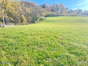Photo #3: 0 Dry Hollow Road