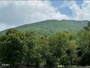 Photo #4: 0 Dry Hollow Road