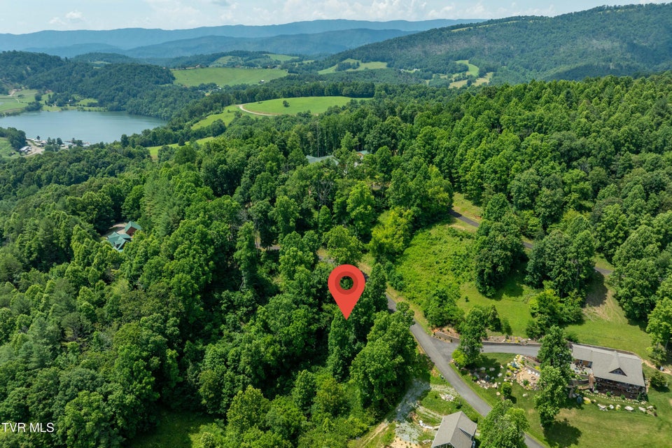Photo #7: Lot 10 Lake Ridge Road