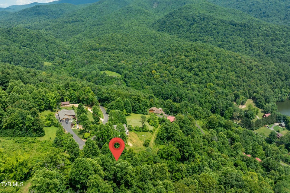 Photo #19: Lot 10 Lake Ridge Road
