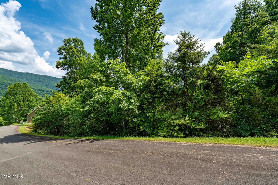 Photo #21: Lot 10 Lake Ridge Road