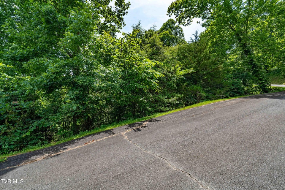 Photo #22: Lot 10 Lake Ridge Road