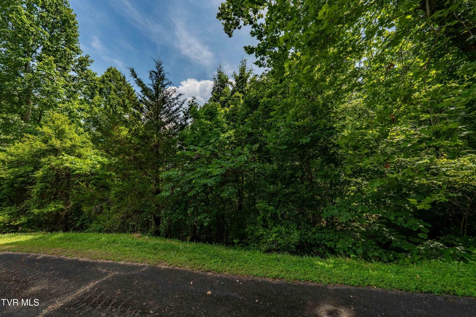 Photo #23: Lot 10 Lake Ridge Road