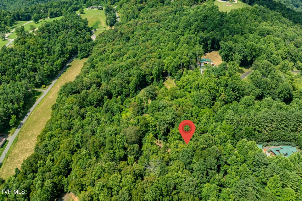 Photo #9: Lot 33 Lake Ridge Road