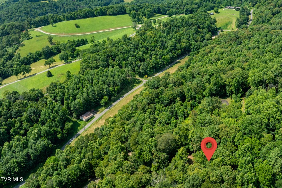 Photo #11: Lot 33 Lake Ridge Road
