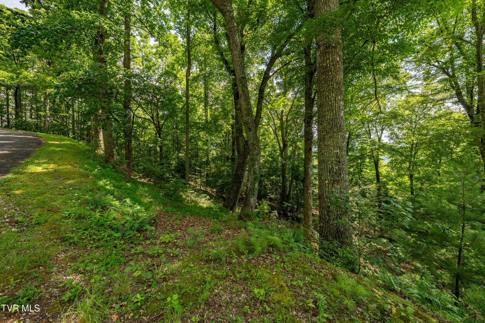 Photo #27: Lot 33 Lake Ridge Road