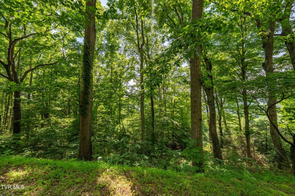 Photo #28: Lot 33 Lake Ridge Road
