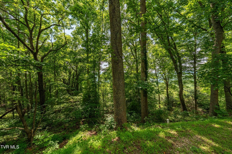 Photo #29: Lot 33 Lake Ridge Road