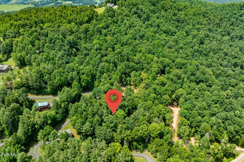 Photo #3: Lot 2 Lake Ridge Road