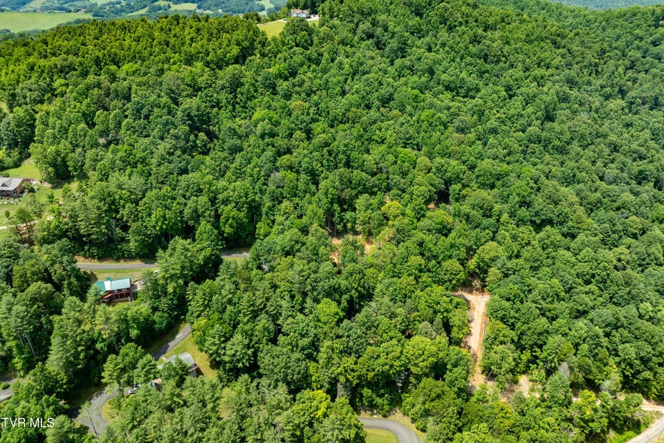 Photo #4: Lot 2 Lake Ridge Road