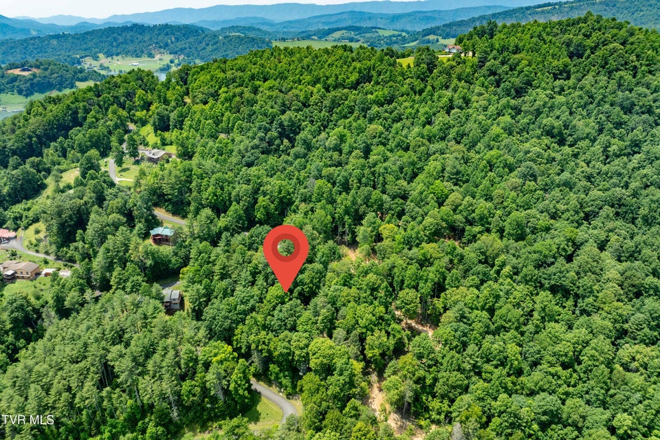 Photo #5: Lot 2 Lake Ridge Road