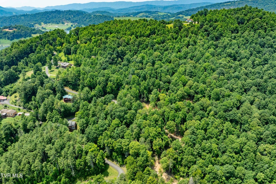 Photo #6: Lot 2 Lake Ridge Road