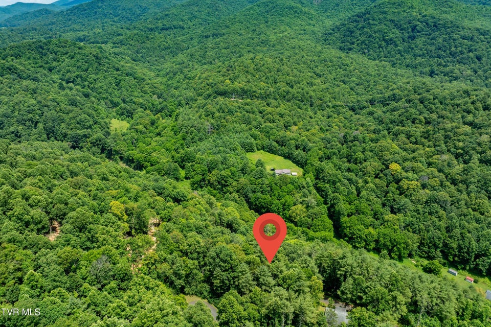Photo #17: Lot 2 Lake Ridge Road