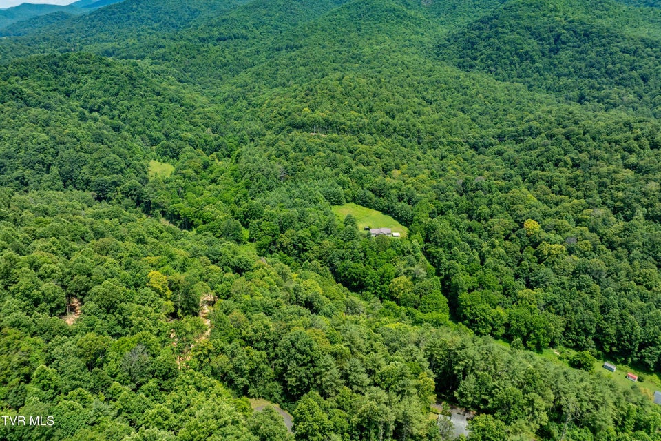 Photo #18: Lot 2 Lake Ridge Road