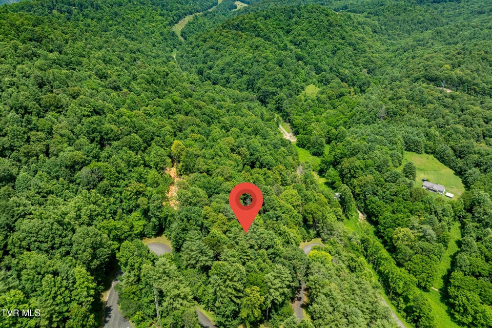 Photo #19: Lot 2 Lake Ridge Road