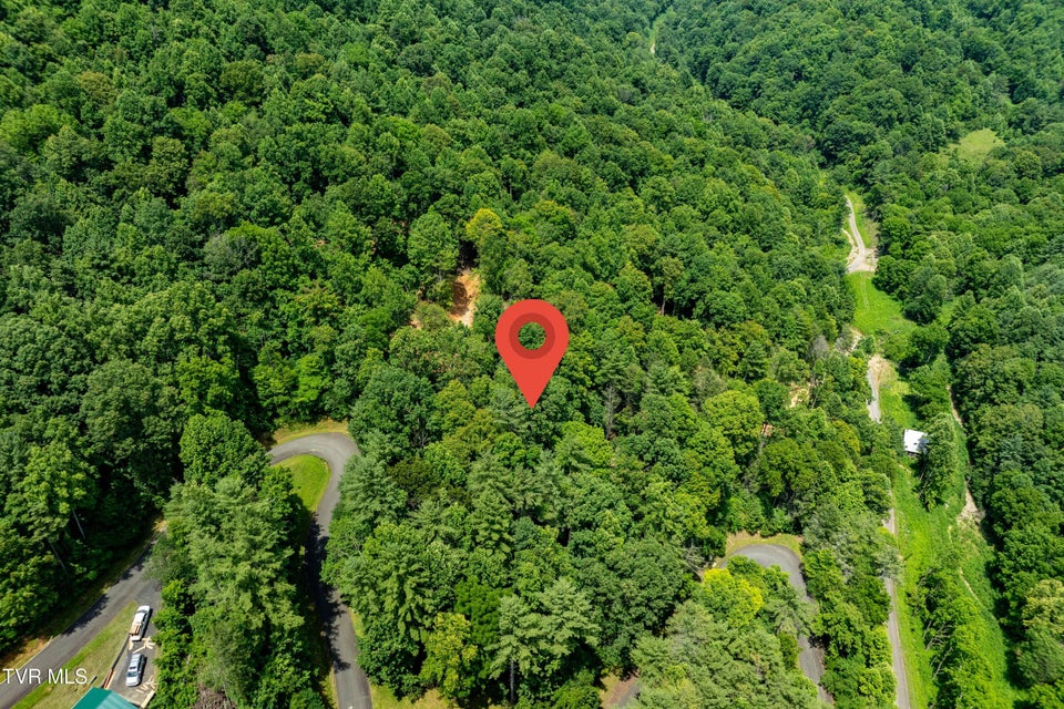 Photo #21: Lot 2 Lake Ridge Road