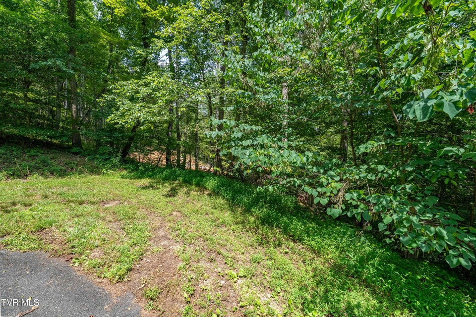 Photo #24: Lot 2 Lake Ridge Road