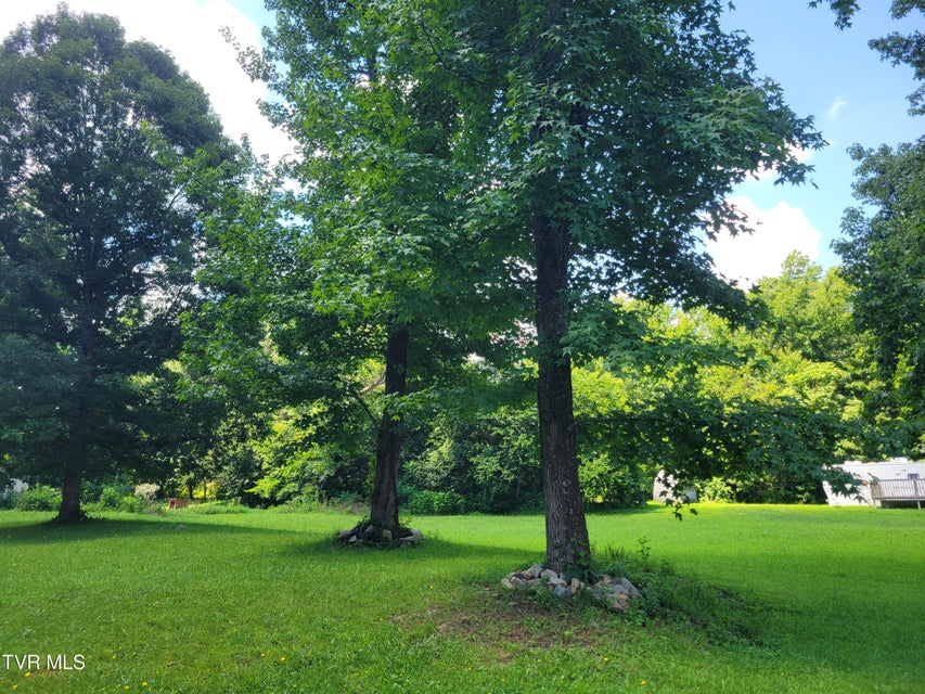 Photo #6: 413 & 411 Cassi Road