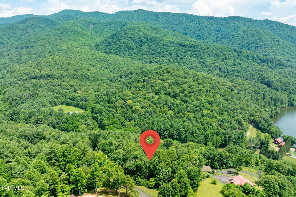 Photo #15: Lot 5 Lake Ridge Road