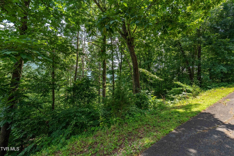 Photo #21: Lot 5 Lake Ridge Road