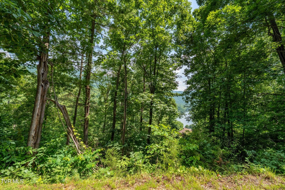 Photo #22: Lot 5 Lake Ridge Road