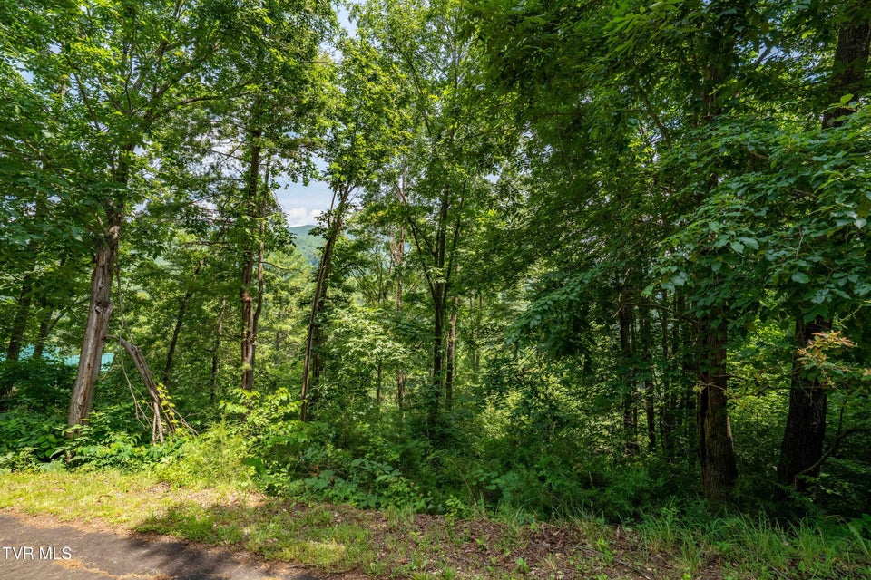 Photo #23: Lot 5 Lake Ridge Road