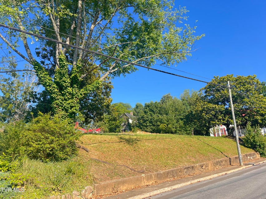 Photo #19: 124 Highland Avenue