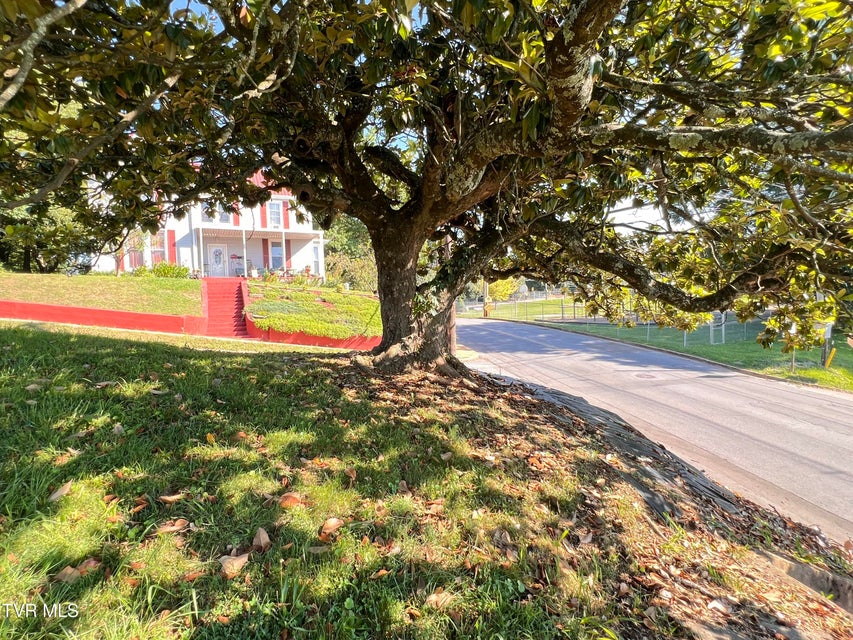 Photo #17: 124 Highland Avenue