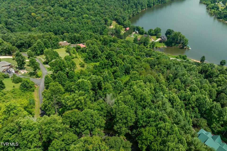Photo #14: Lot 11 Lake Ridge Road