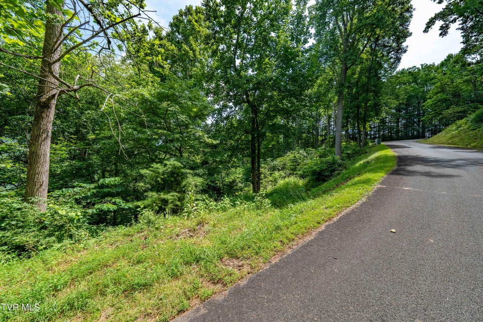 Photo #17: Lot 11 Lake Ridge Road