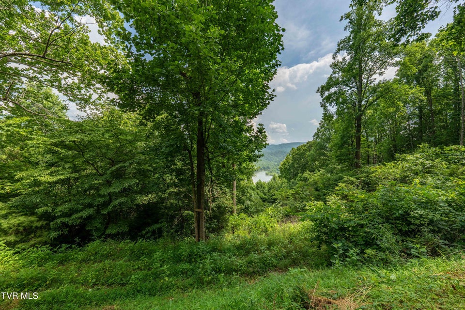 Photo #18: Lot 11 Lake Ridge Road
