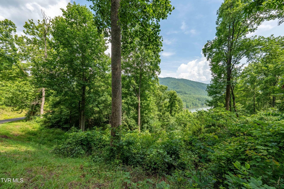 Photo #19: Lot 11 Lake Ridge Road