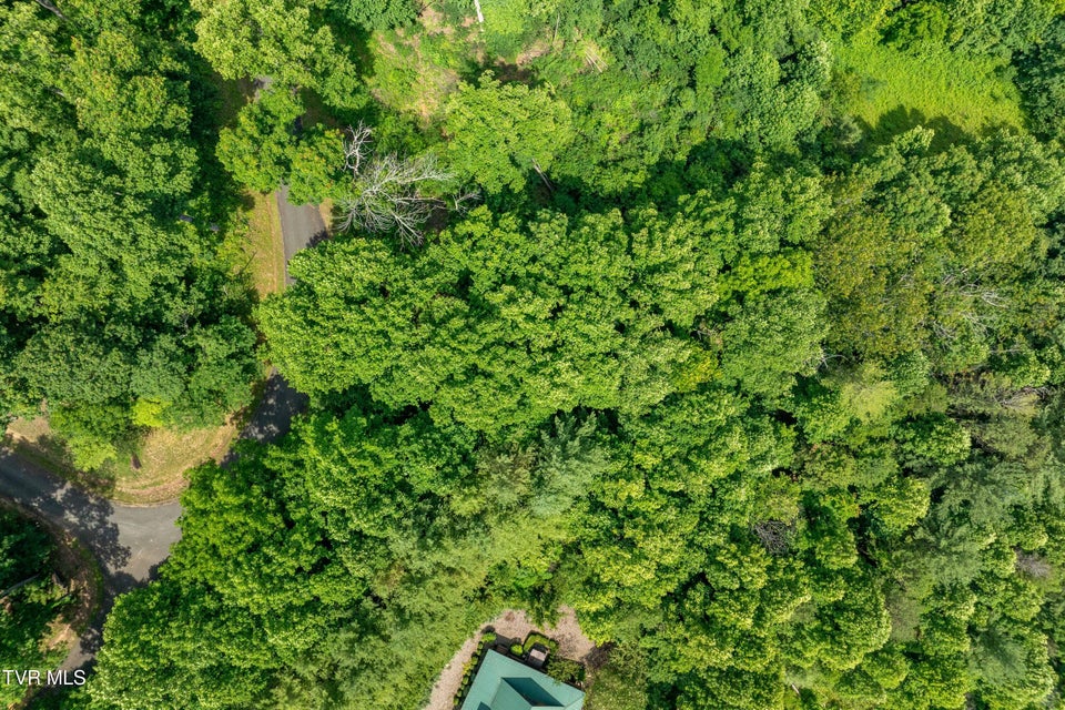 Photo #2: Lot 12 Lake Ridge Road