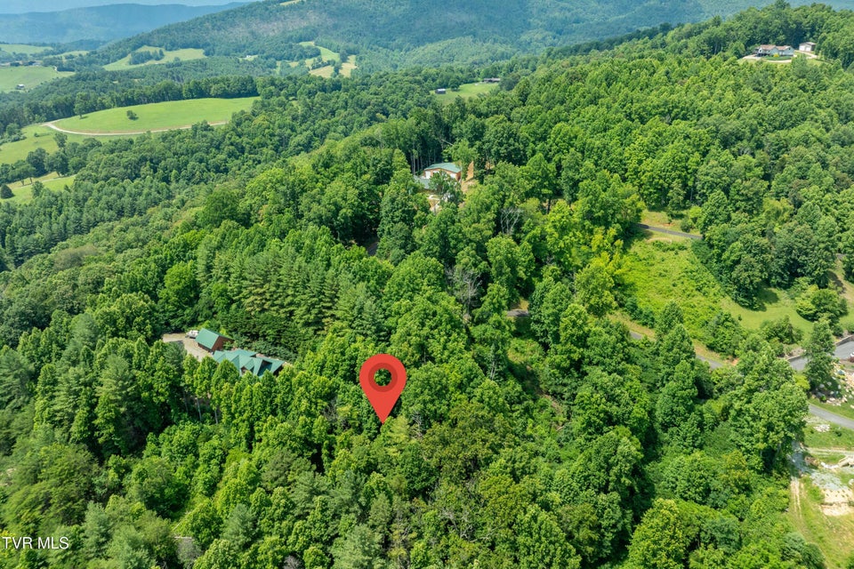 Photo #3: Lot 12 Lake Ridge Road