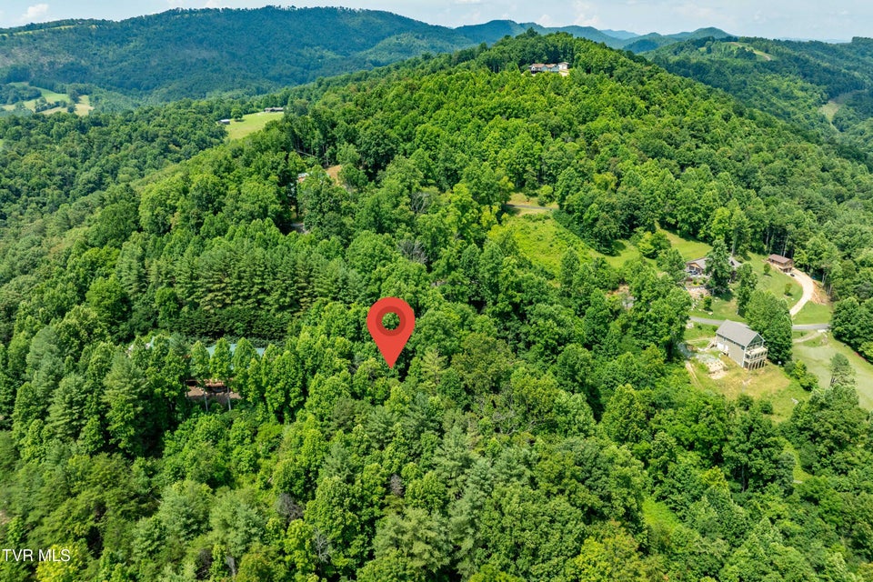 Photo #17: Lot 12 Lake Ridge Road
