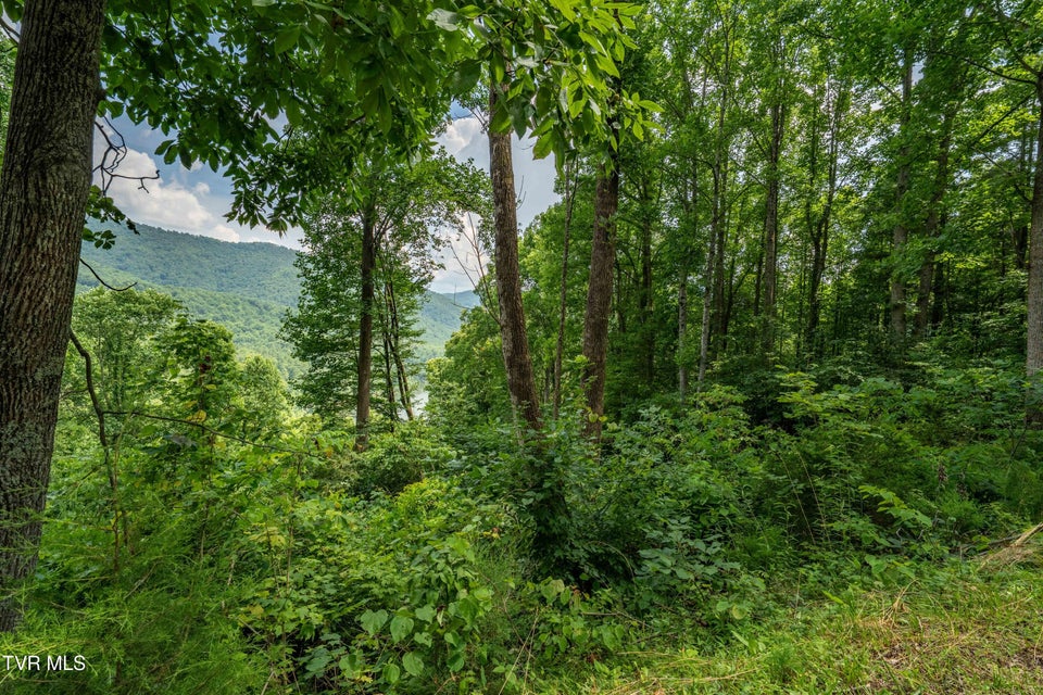 Photo #19: Lot 12 Lake Ridge Road